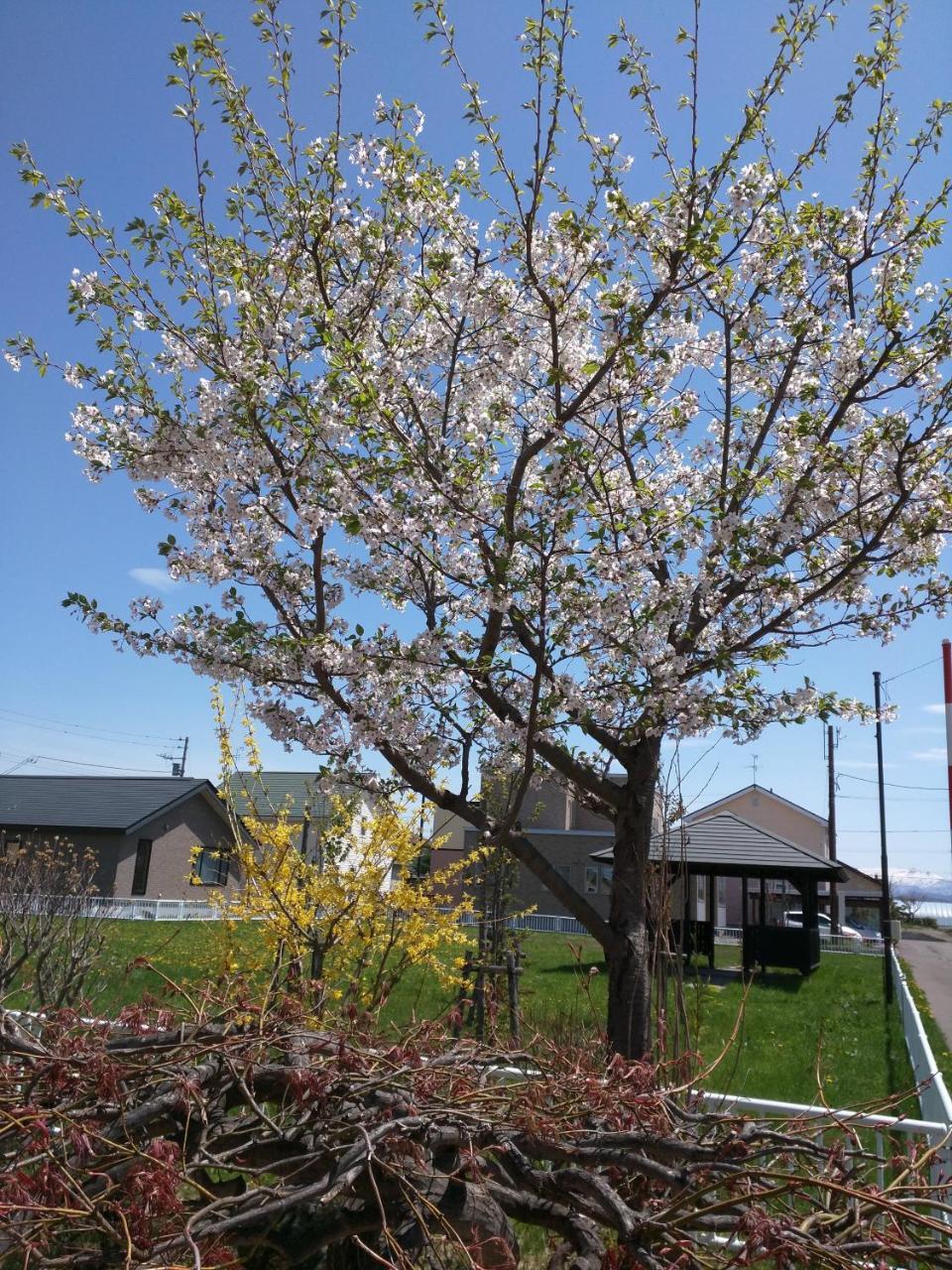 Dům (99 m²), pokoje: 2, vlastní koupelny: 1, destinace: Higashikagura Asahikawa Exteriér fotografie